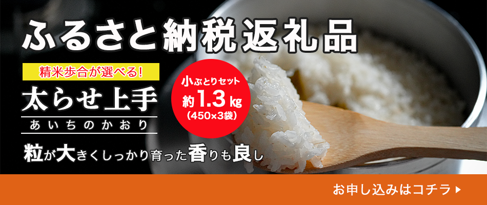 SUN魂ストーリー