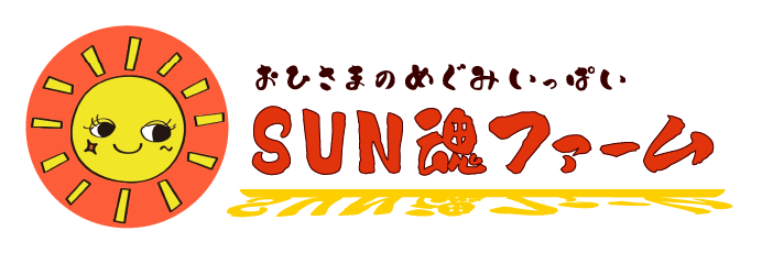 トップページに戻る